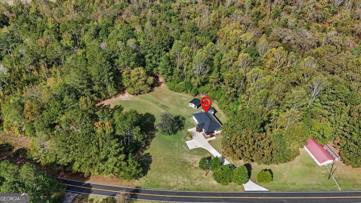 196 Riverside Road Tallapoosa - Photo 61