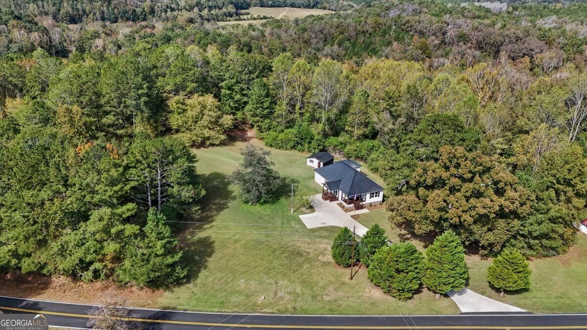 196 Riverside Road Tallapoosa - Photo 62