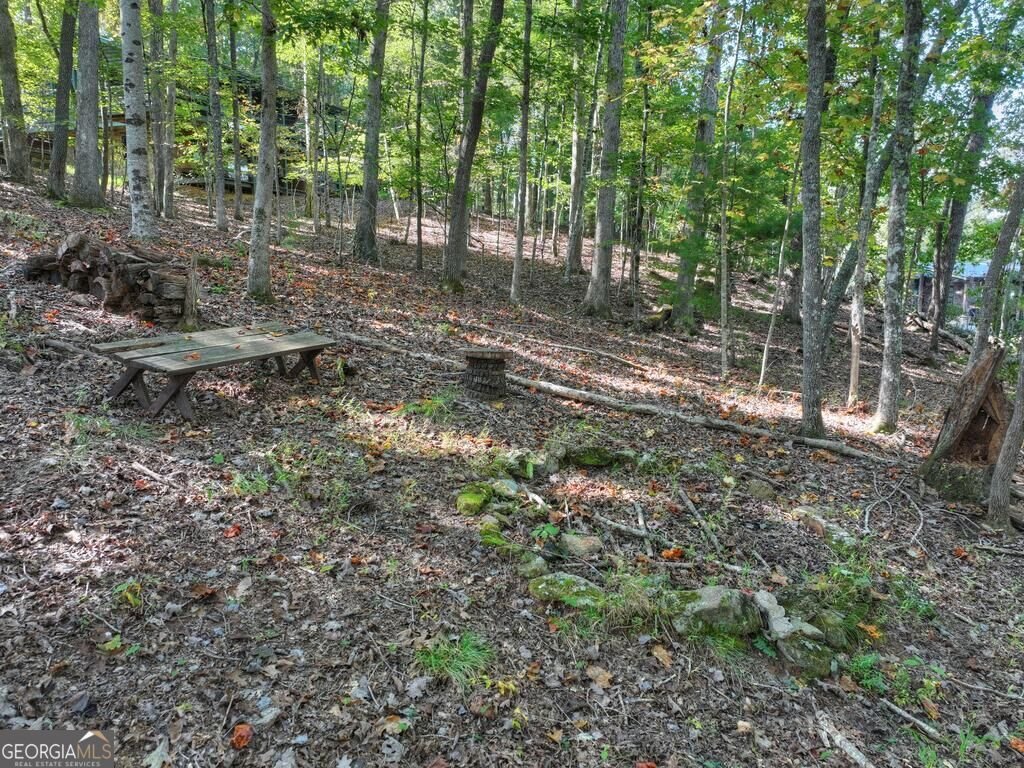 5 Tanglewood Lane Blue Ridge - Photo 21