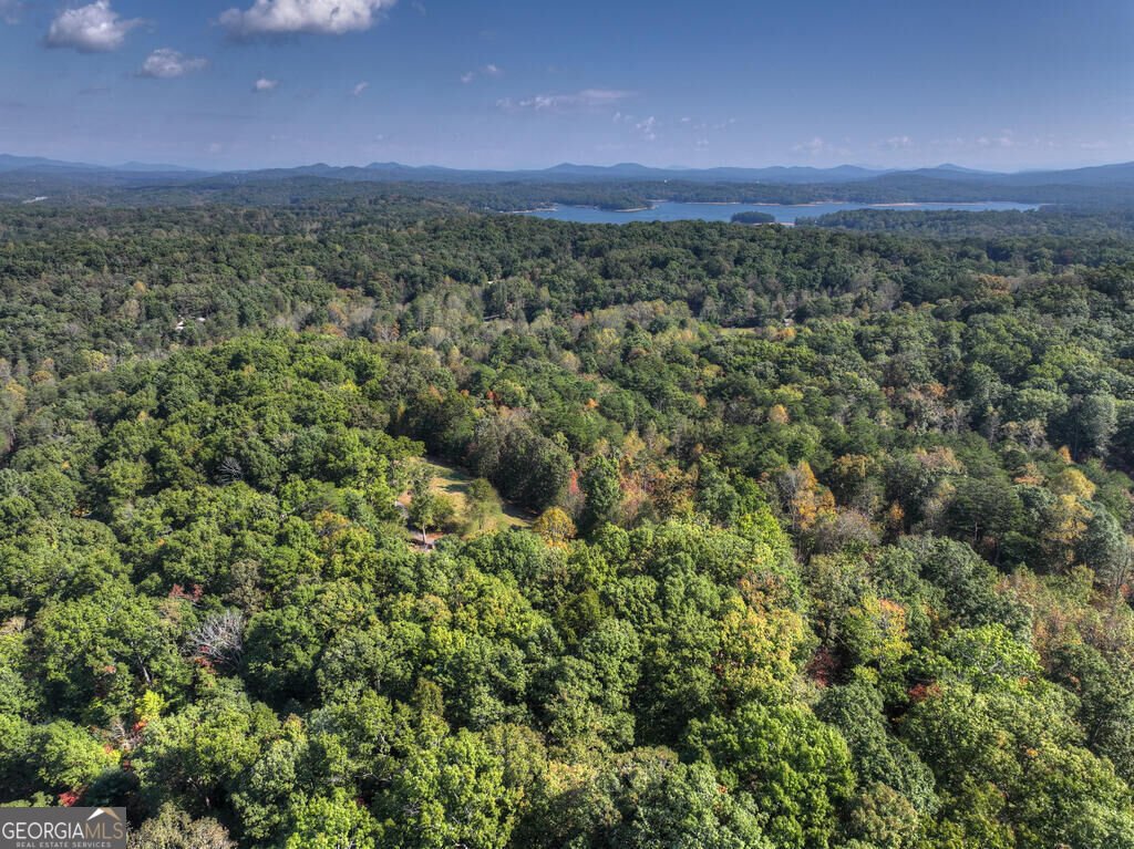 5 Tanglewood Lane Blue Ridge - Photo 30