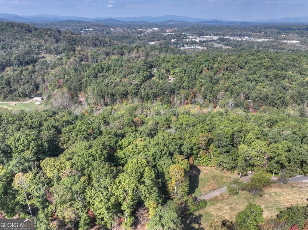 5 Tanglewood Lane Blue Ridge - Photo 33