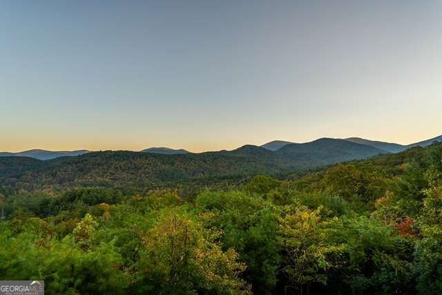 888 Wolf Creek Lane Blairsville - Photo 17