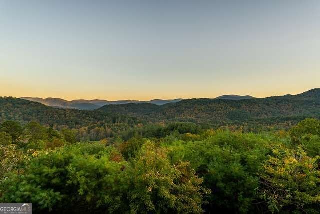 888 Wolf Creek Lane Blairsville - Photo 33