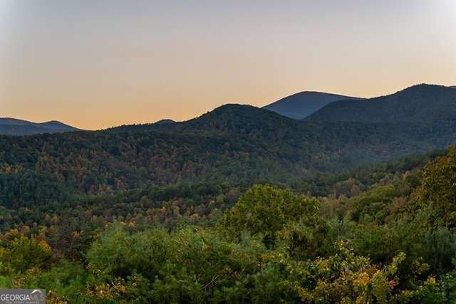 888 Wolf Creek Lane Blairsville - Photo 43