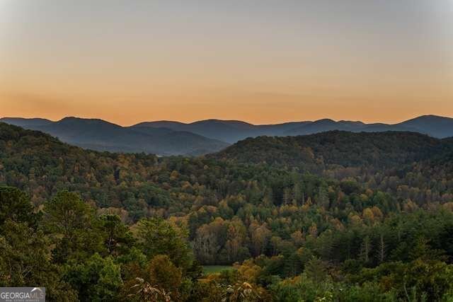 888 Wolf Creek Lane Blairsville - Photo 45