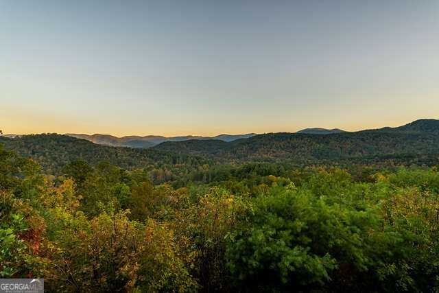 888 Wolf Creek Lane Blairsville - Photo 46