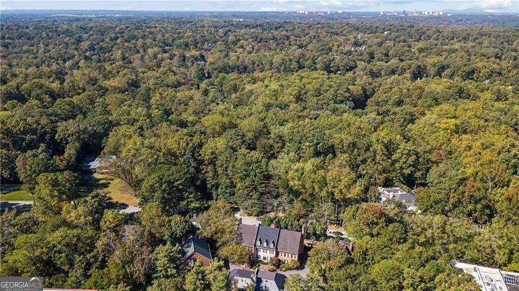 3085 Slaton Drive Atlanta - Photo 53