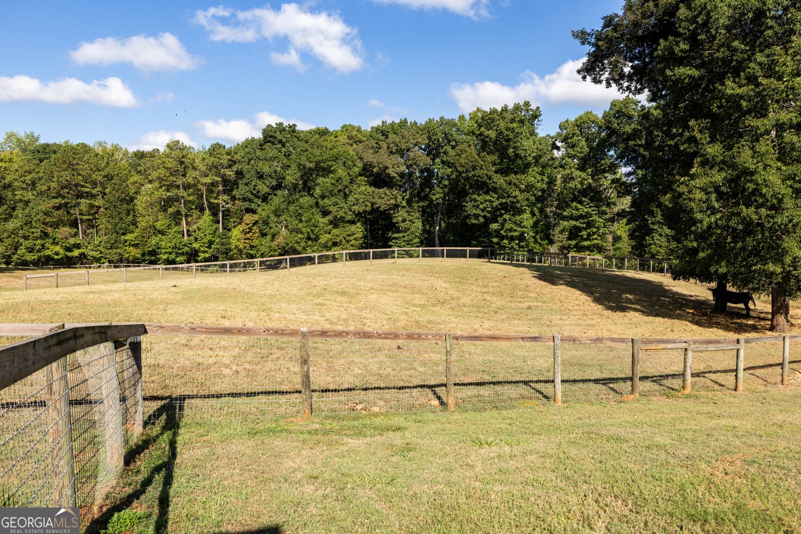 1750 Bishop Road Luthersville - Photo 125