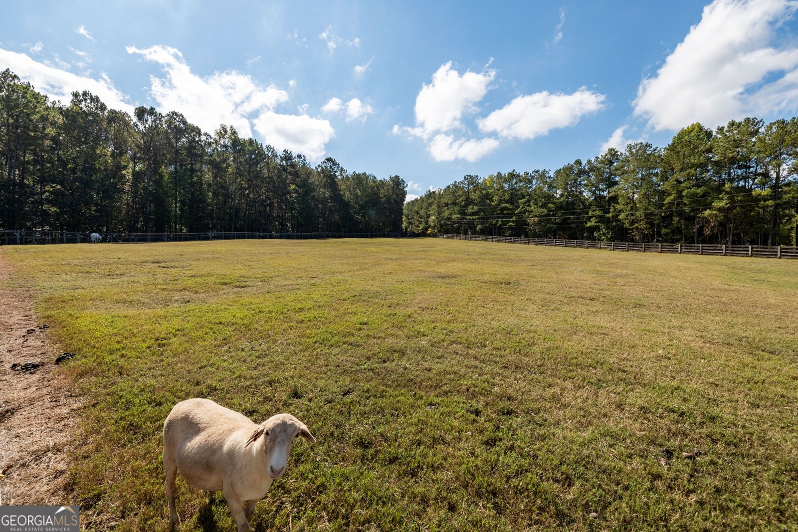 1750 Bishop Road Luthersville - Photo 142