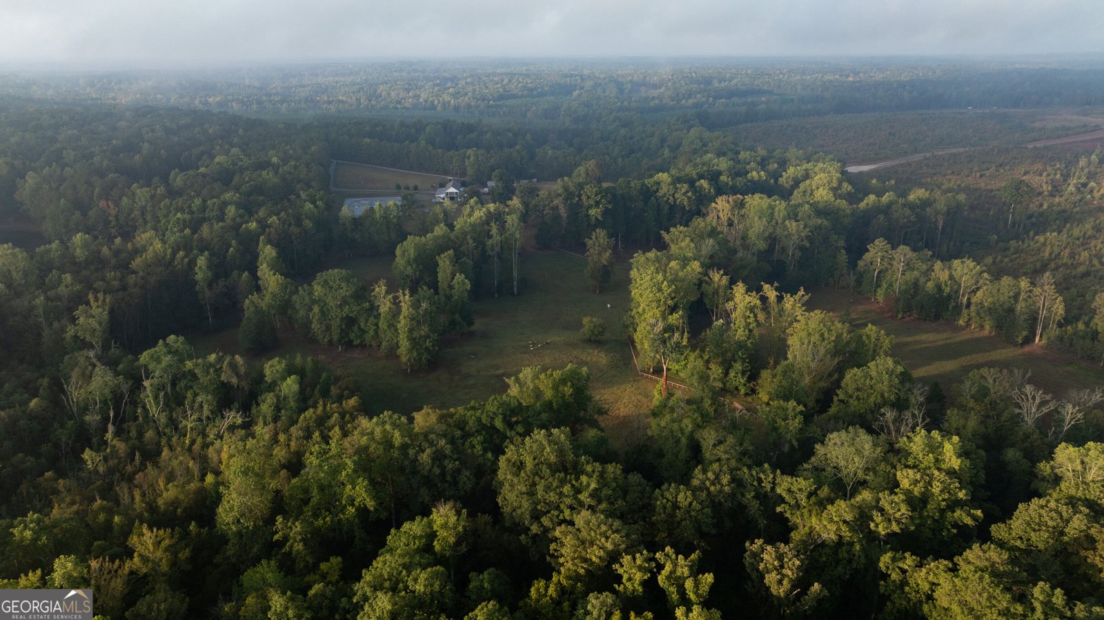 1750 Bishop Road Luthersville - Photo 146