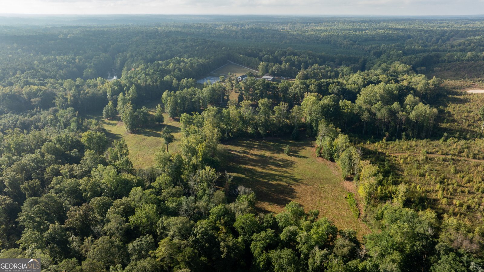 1750 Bishop Road Luthersville - Photo 152