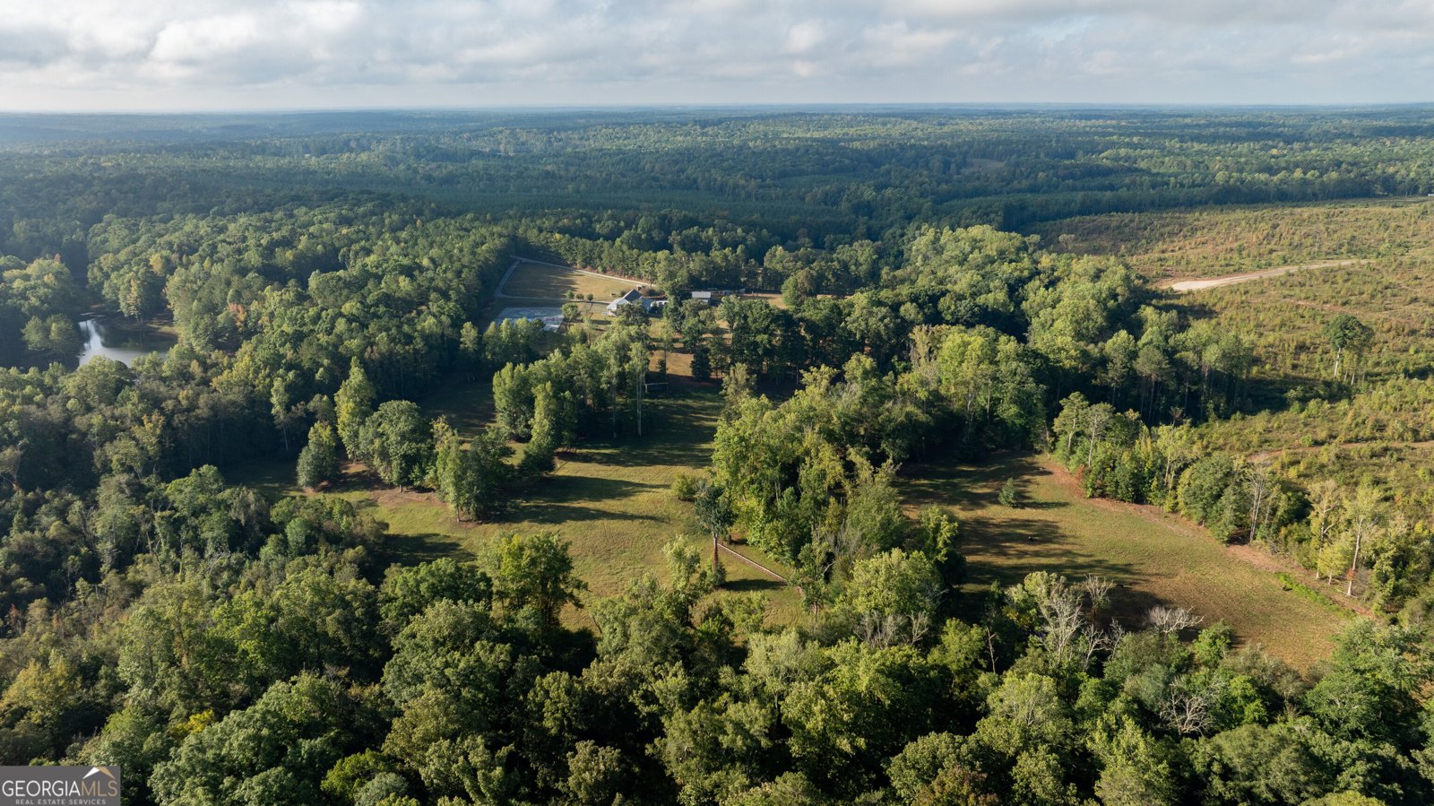 1750 Bishop Road Luthersville - Photo 153