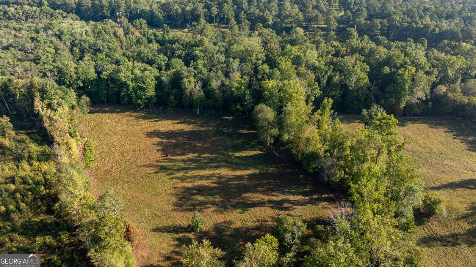 1750 Bishop Road Luthersville - Photo 154