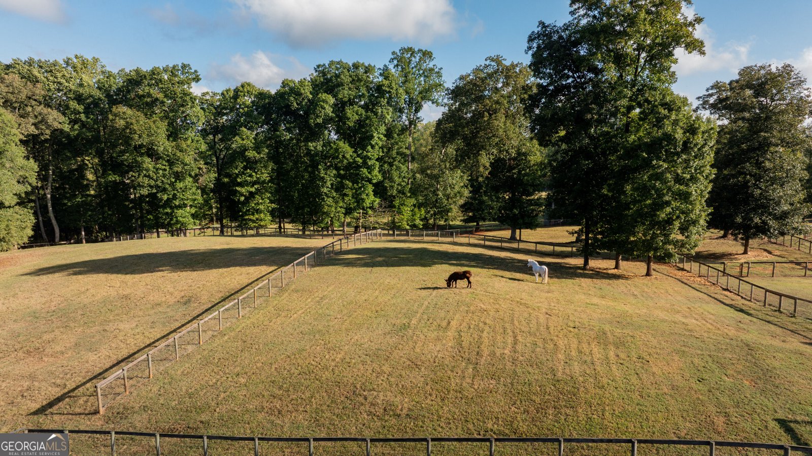 1750 Bishop Road Luthersville - Photo 159