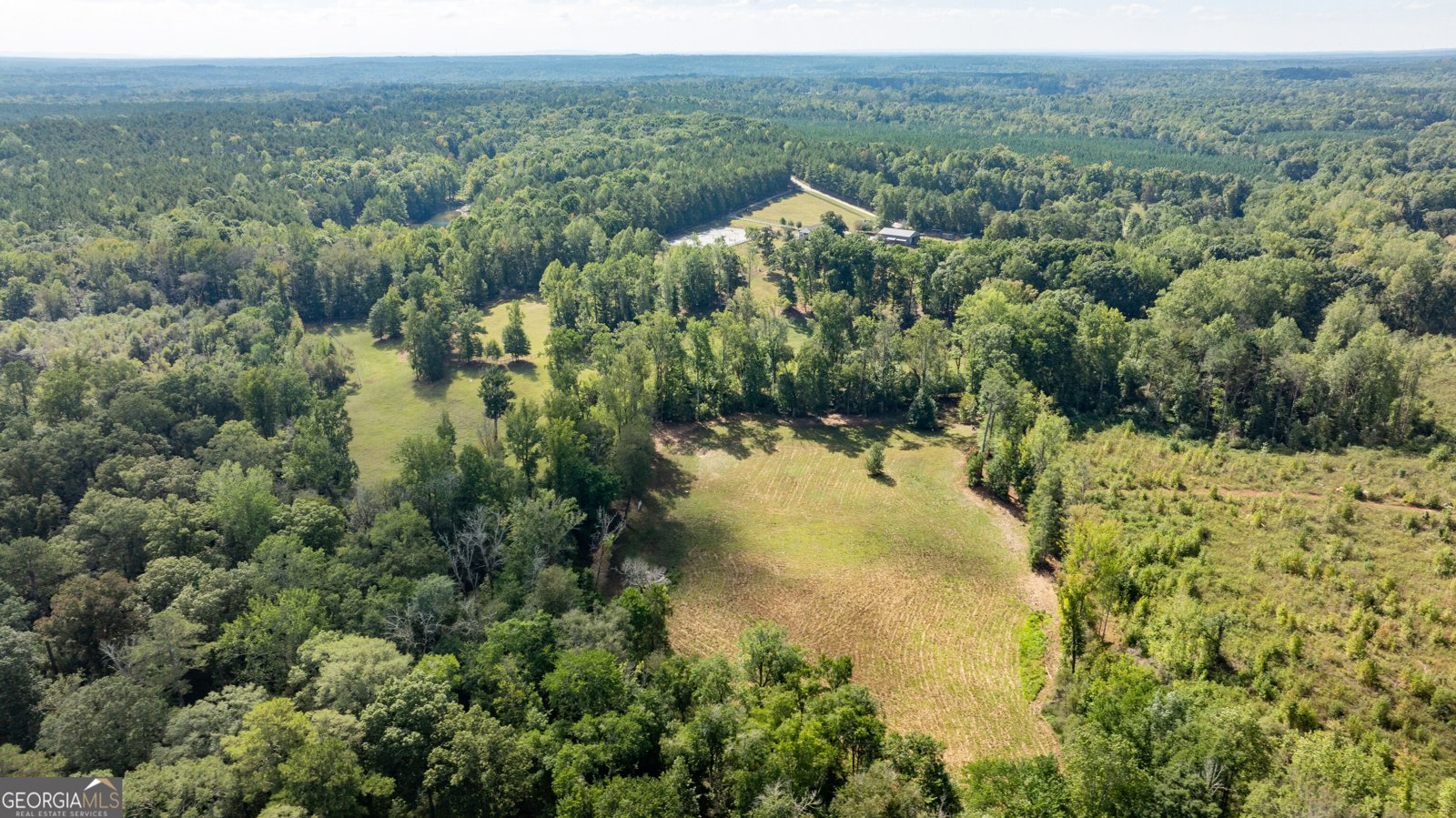 1750 Bishop Road Luthersville - Photo 175