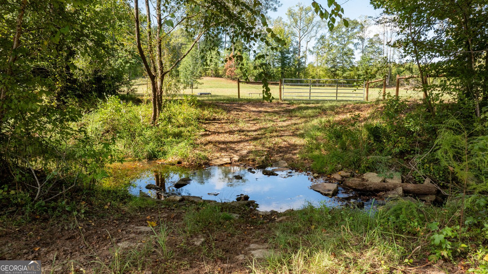 1750 Bishop Road Luthersville - Photo 181