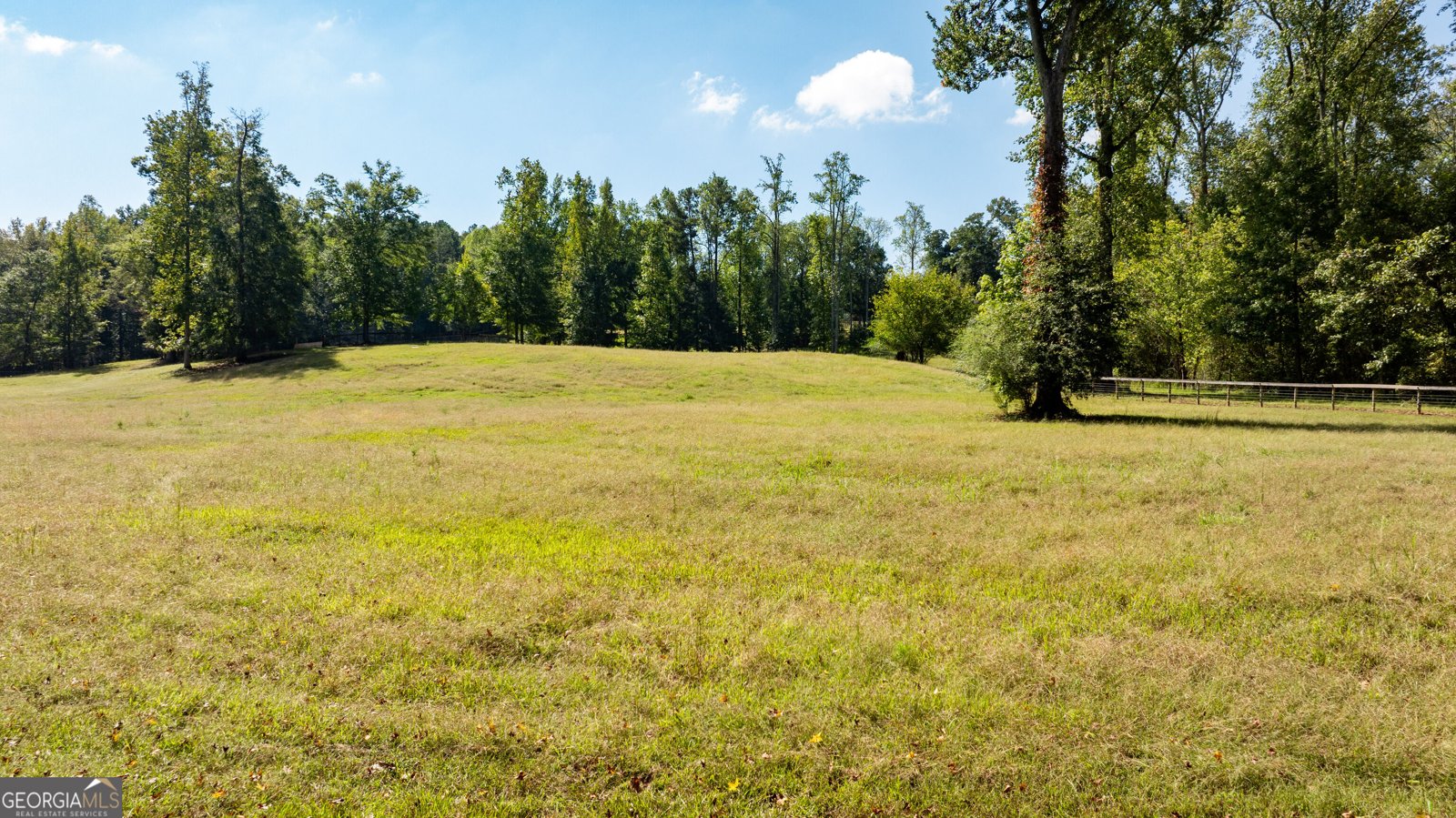 1750 Bishop Road Luthersville - Photo 183