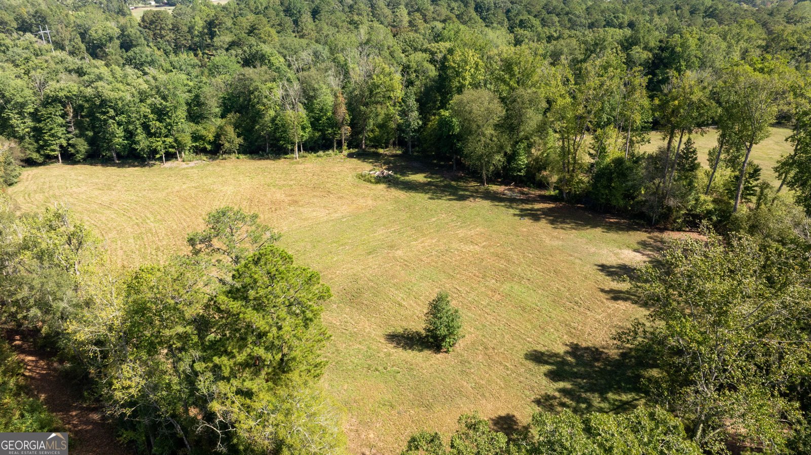 1750 Bishop Road Luthersville - Photo 184