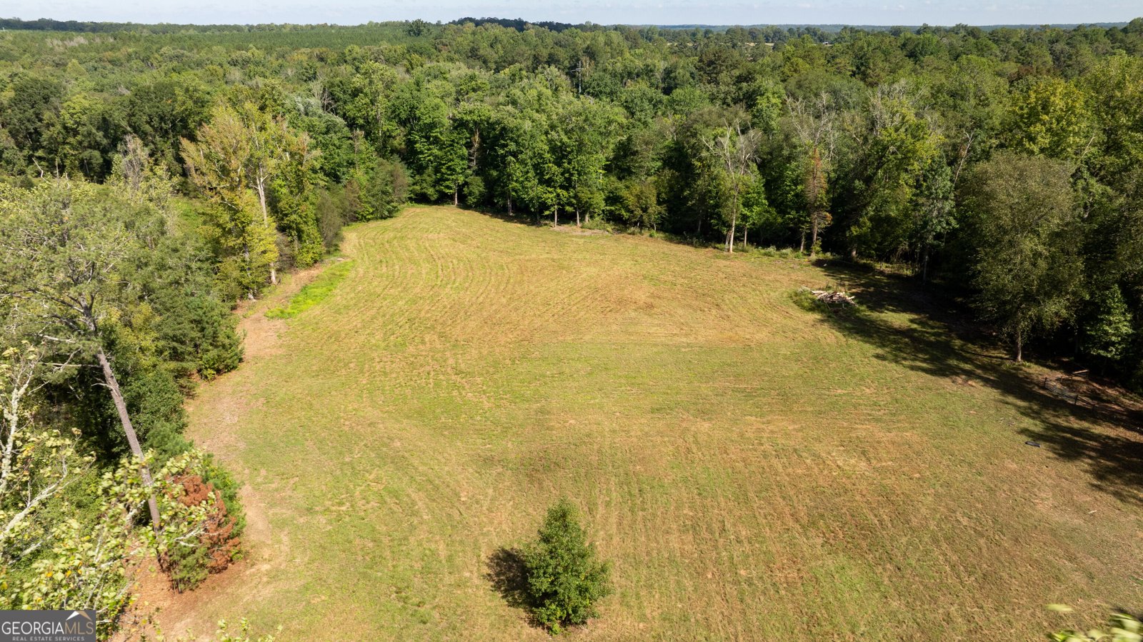 1750 Bishop Road Luthersville - Photo 185
