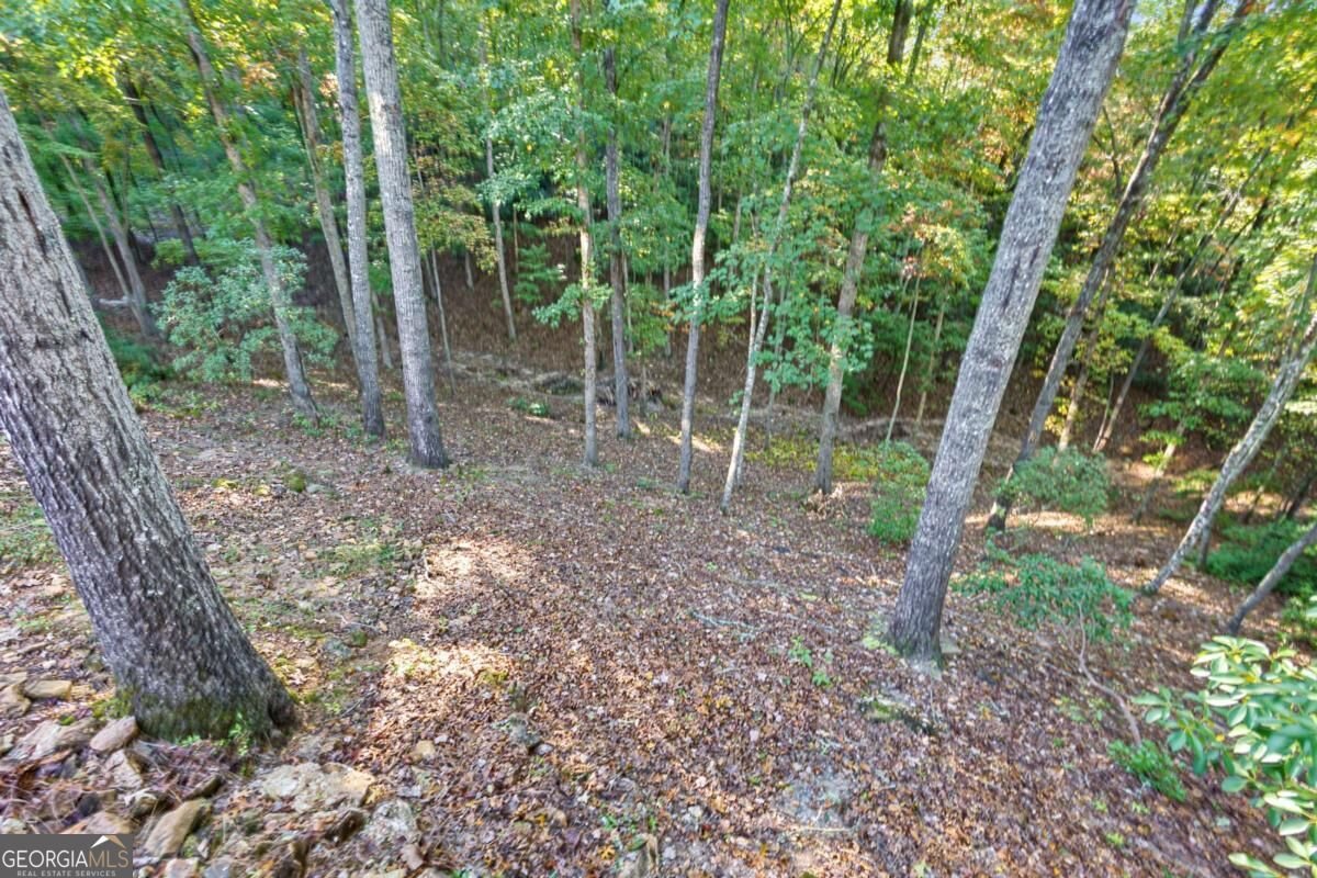 361 Bluebird Lane Blue Ridge - Photo 60