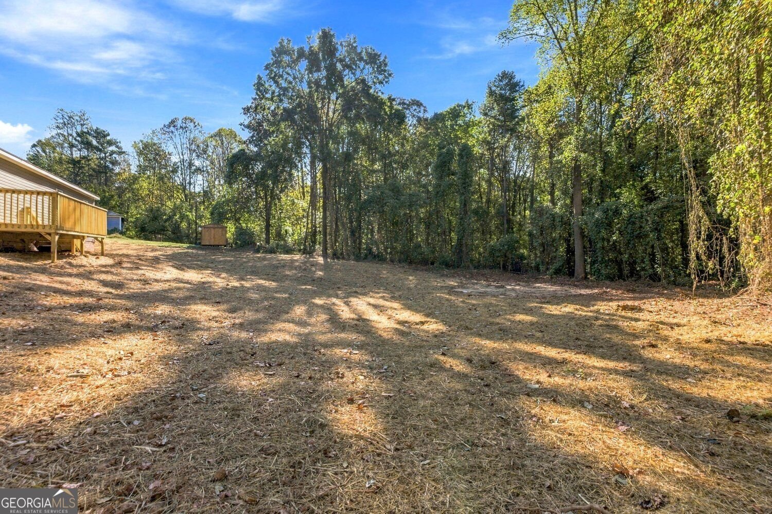 76 Tom Yarbrough Road Maysville - Photo 42