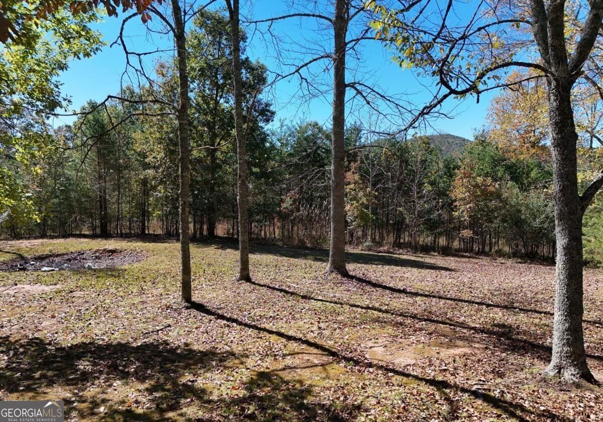 154 Kiloran Way Blairsville - Photo 12
