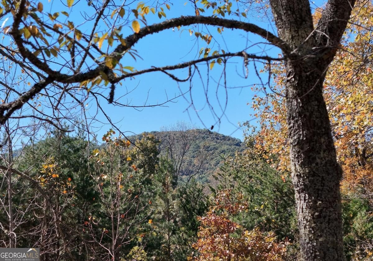 154 Kiloran Way Blairsville - Photo 13