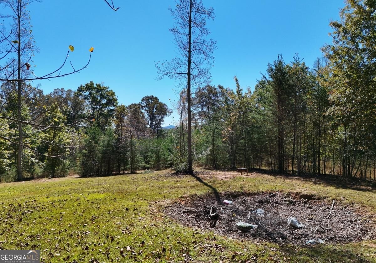 154 Kiloran Way Blairsville - Photo 14
