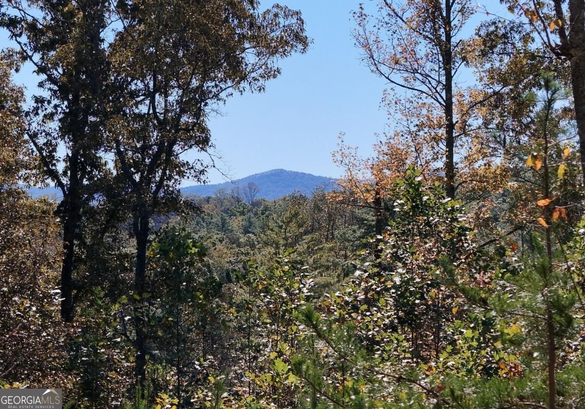 154 Kiloran Way Blairsville - Photo 15