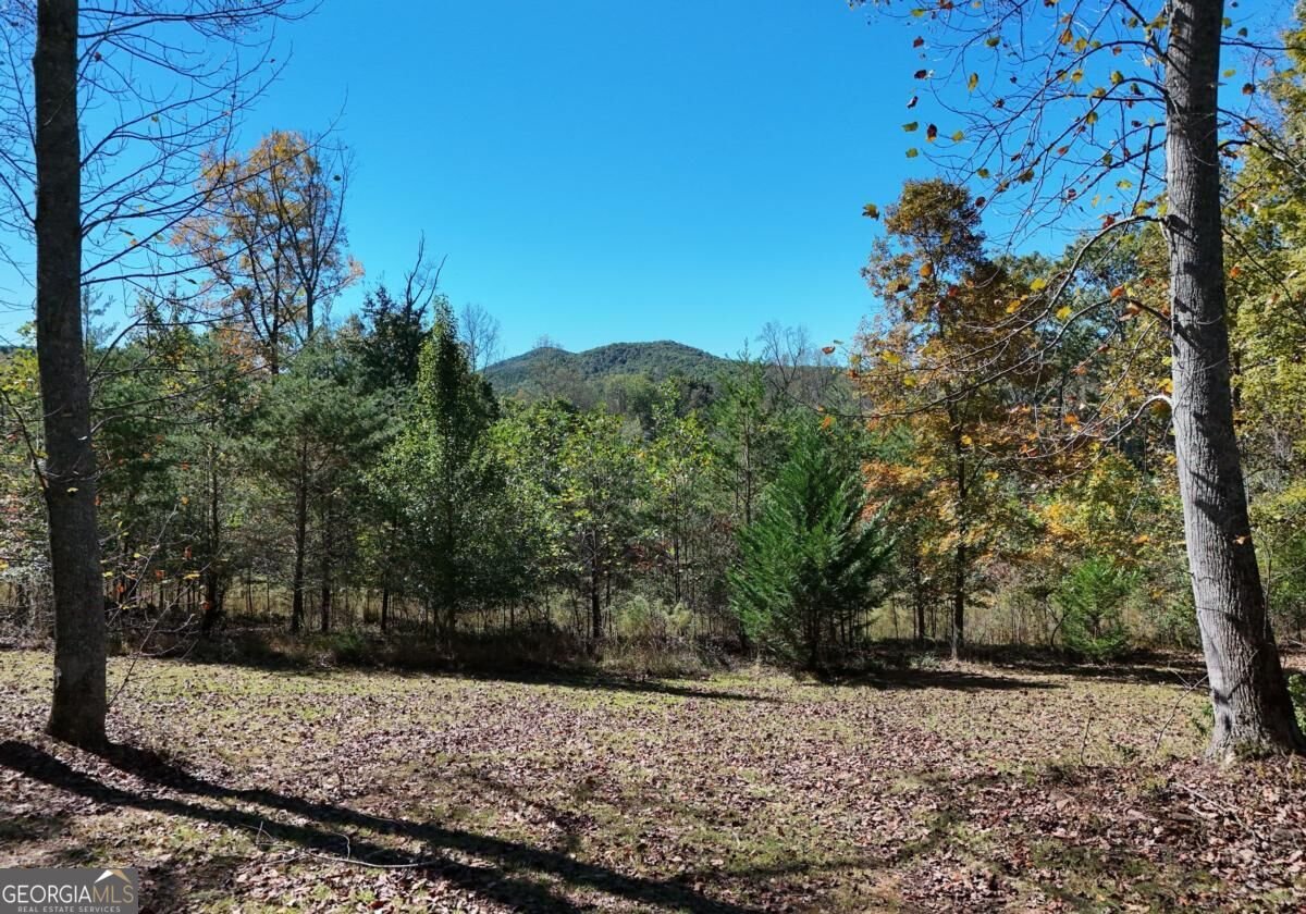 154 Kiloran Way Blairsville - Photo 17