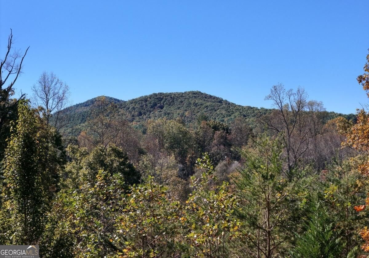 154 Kiloran Way Blairsville - Photo 18