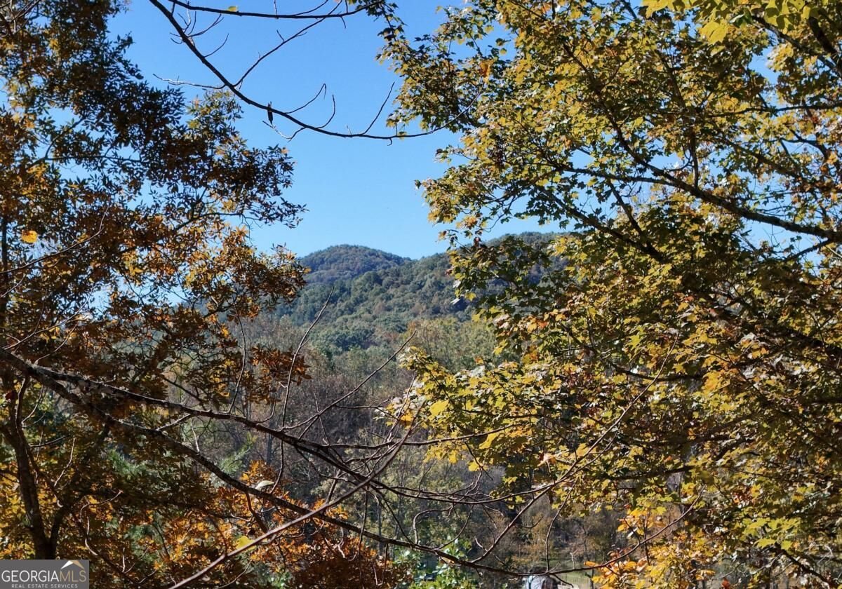 154 Kiloran Way Blairsville - Photo 20