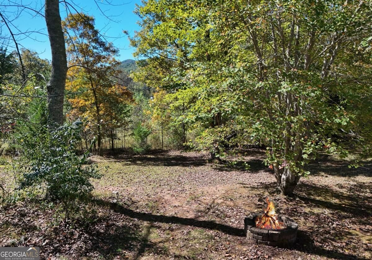 154 Kiloran Way Blairsville - Photo 21