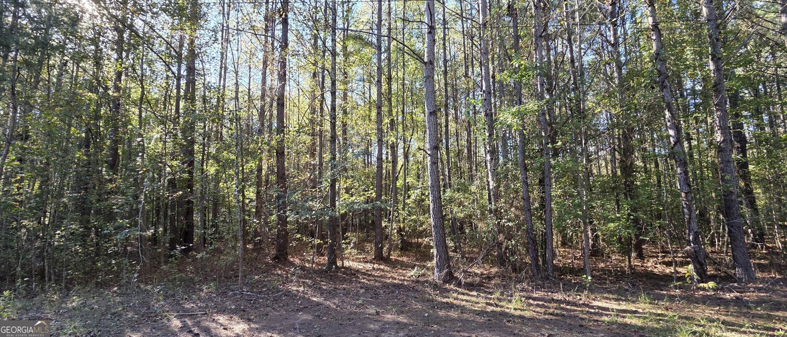 234 Newton Road Newnan - Photo 12