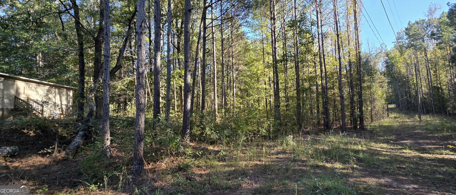234 Newton Road Newnan - Photo 6
