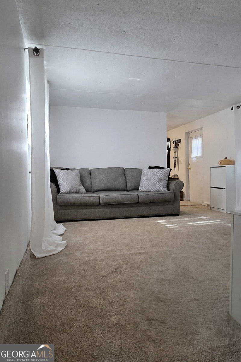 234 Newton Road Newnan - Photo 7