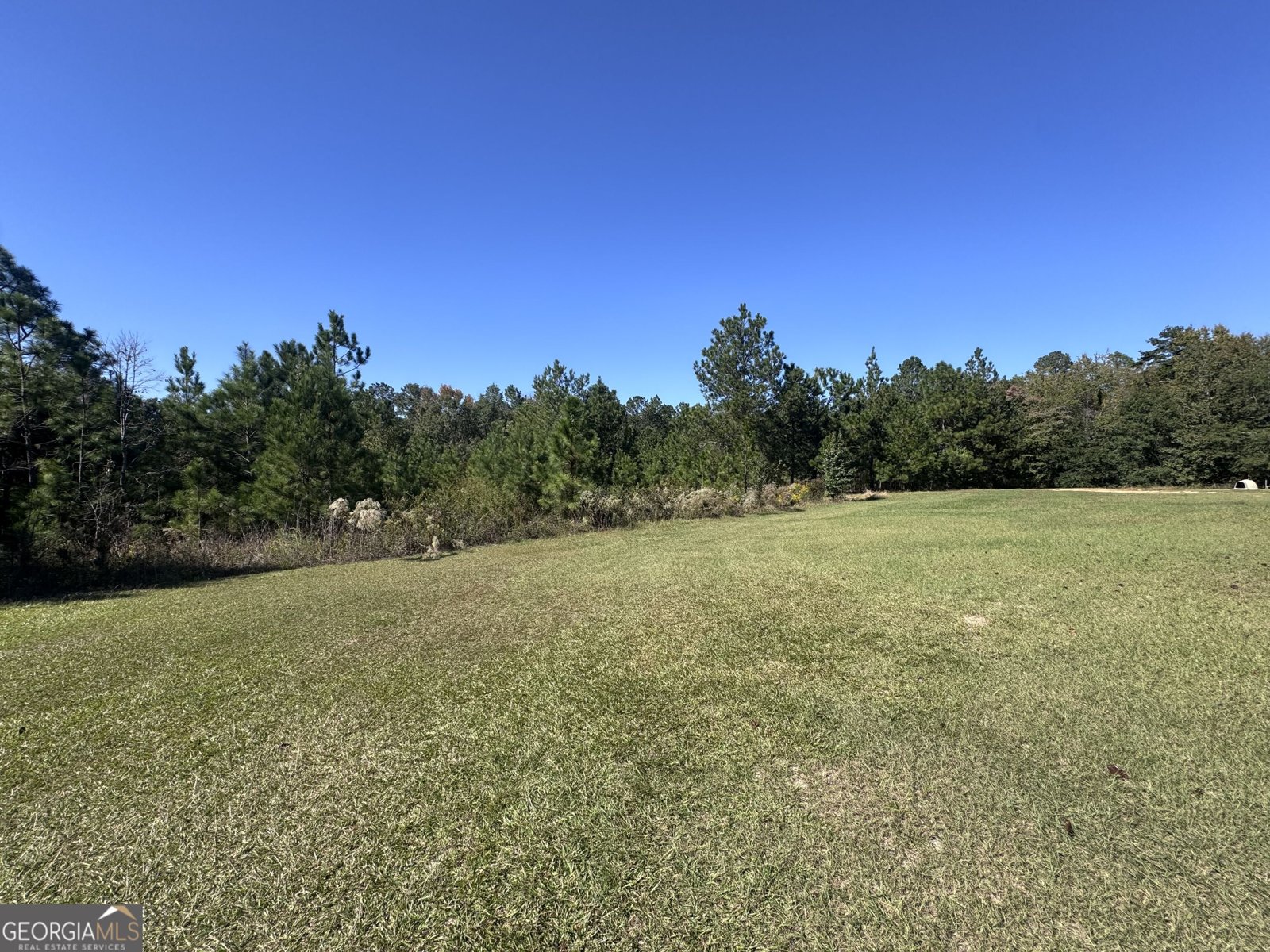 1160 Pleasant Springs Church Road East Dublin - Photo 11