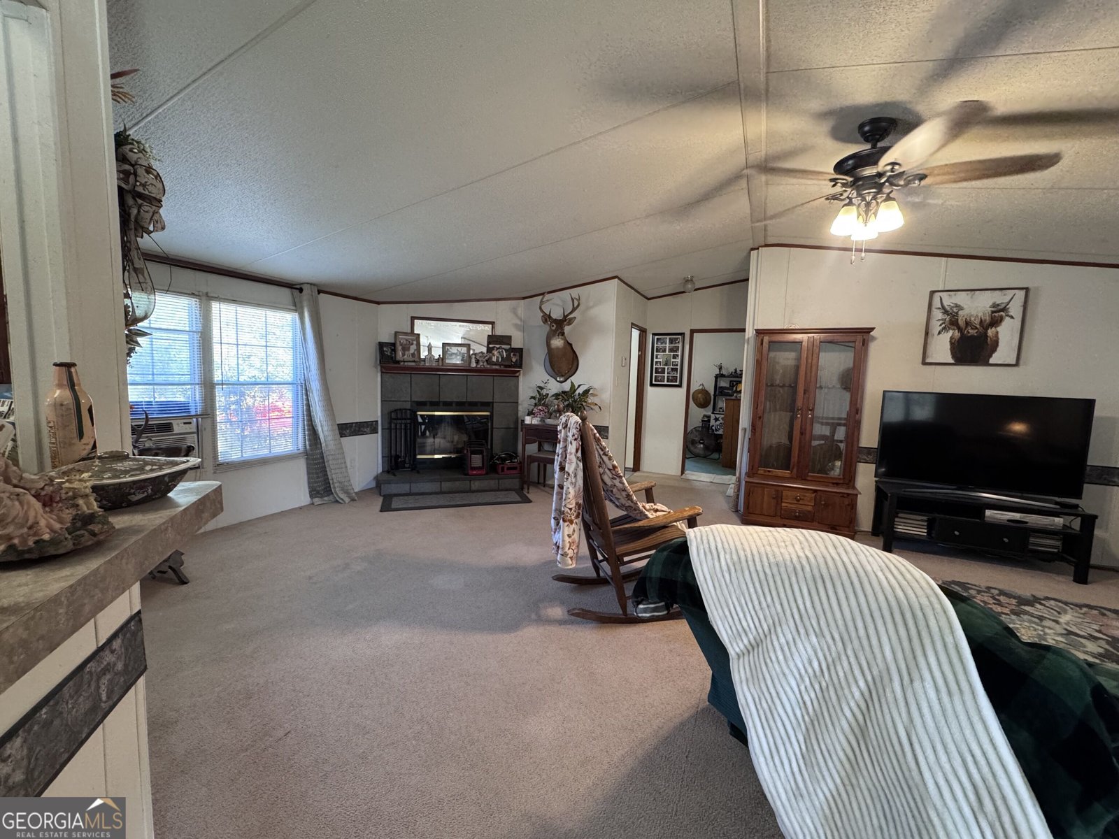 1160 Pleasant Springs Church Road East Dublin - Photo 17