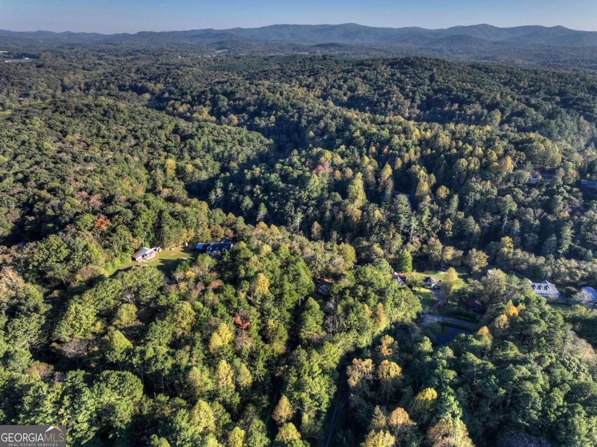 105 Riveredge Drive Ellijay - Photo 16