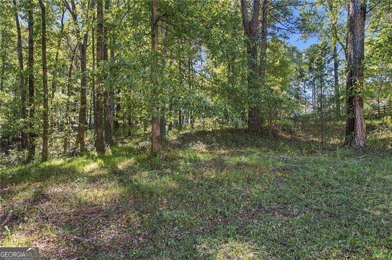 2200 Lake Road Mcdonough - Photo 38