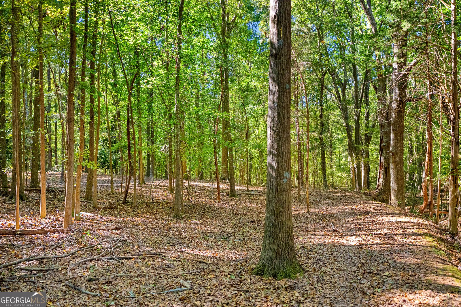 1059 Old Hwy 29 Hartwell - Photo 41