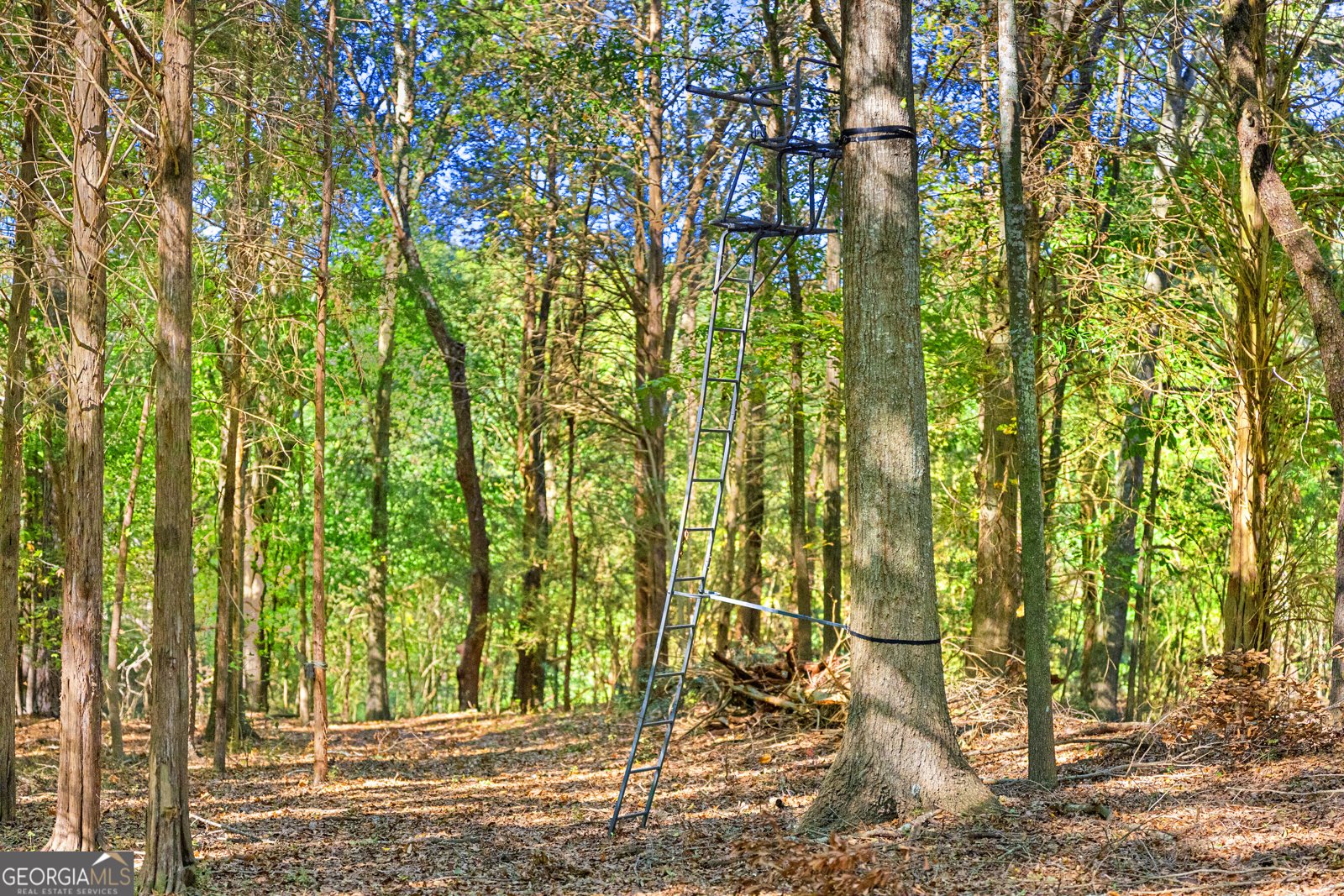 1059 Old Hwy 29 Hartwell - Photo 43