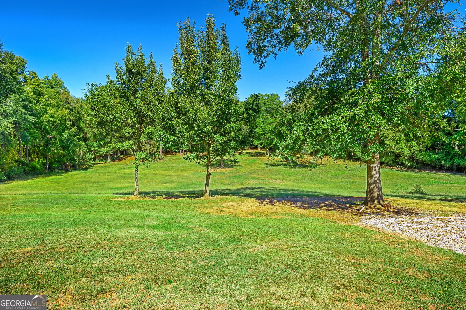 1059 Old Hwy 29 Hartwell - Photo 44