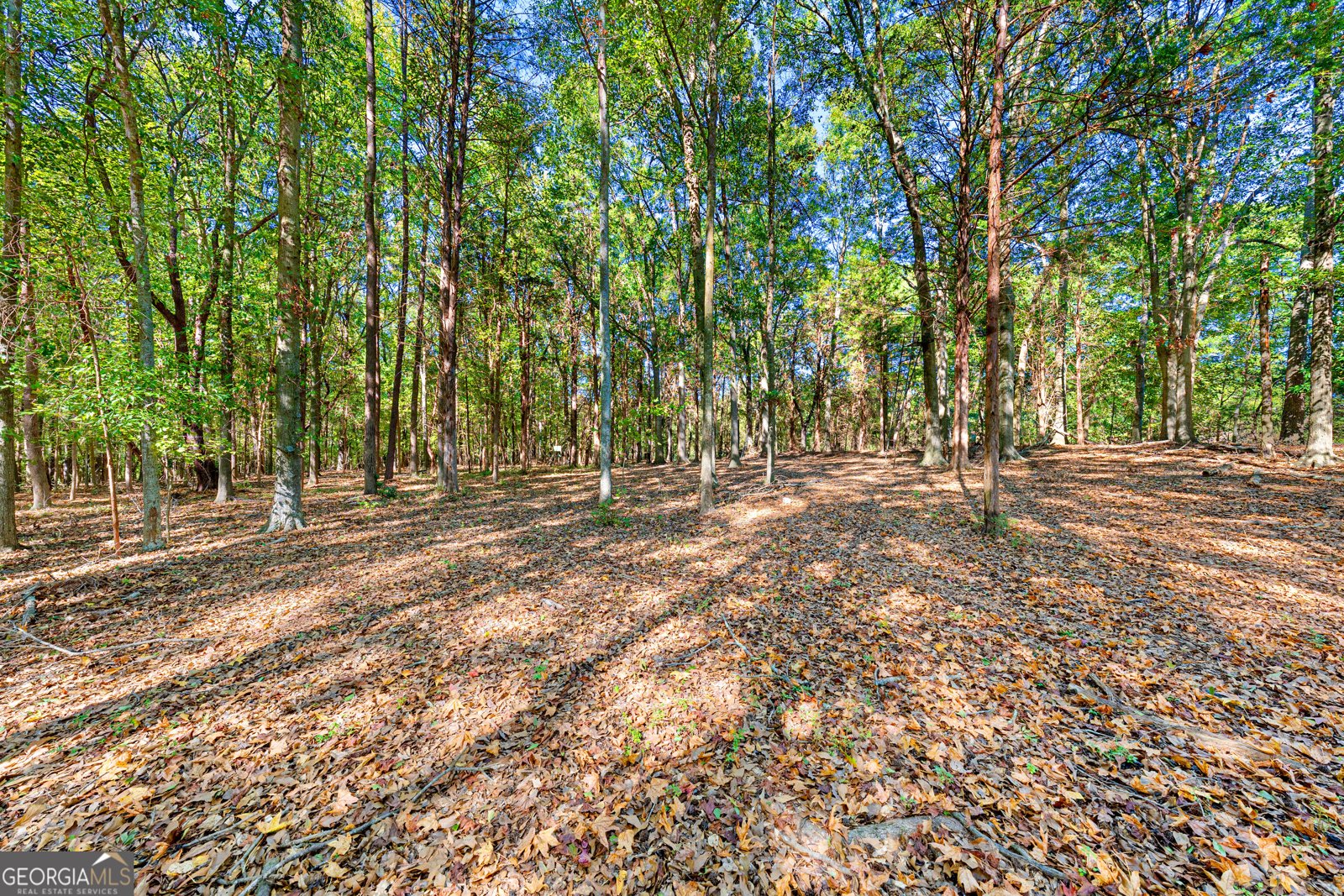 1059 Old Hwy 29 Hartwell - Photo 45