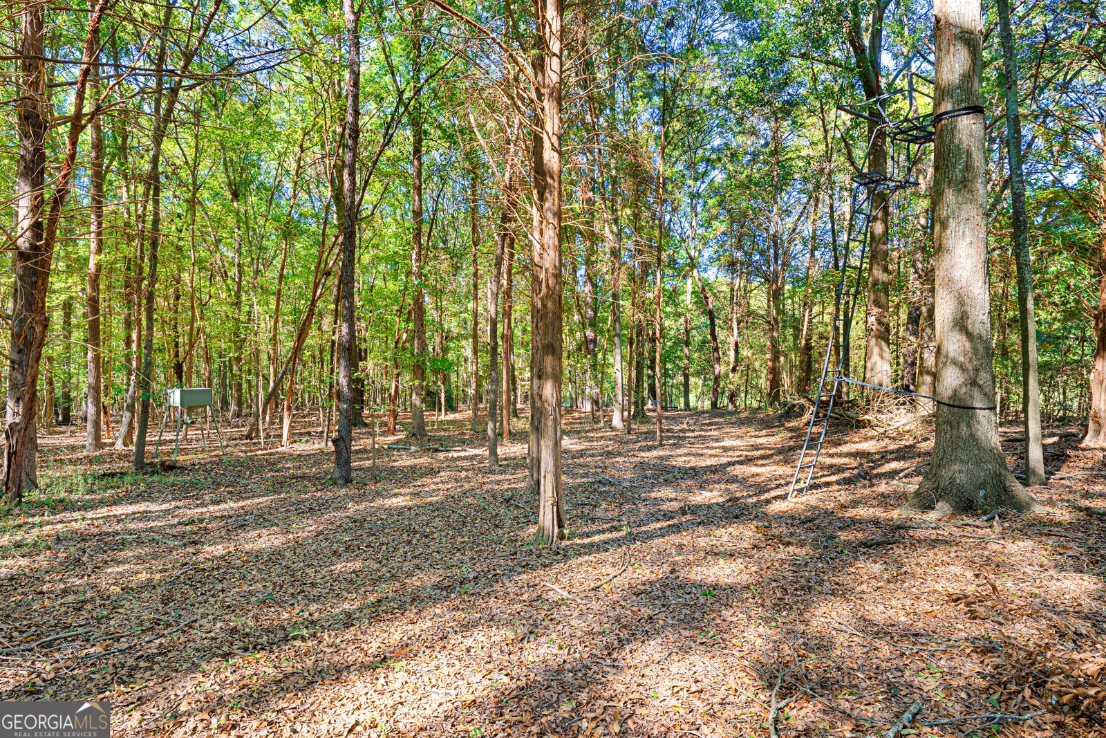 1059 Old Hwy 29 Hartwell - Photo 46