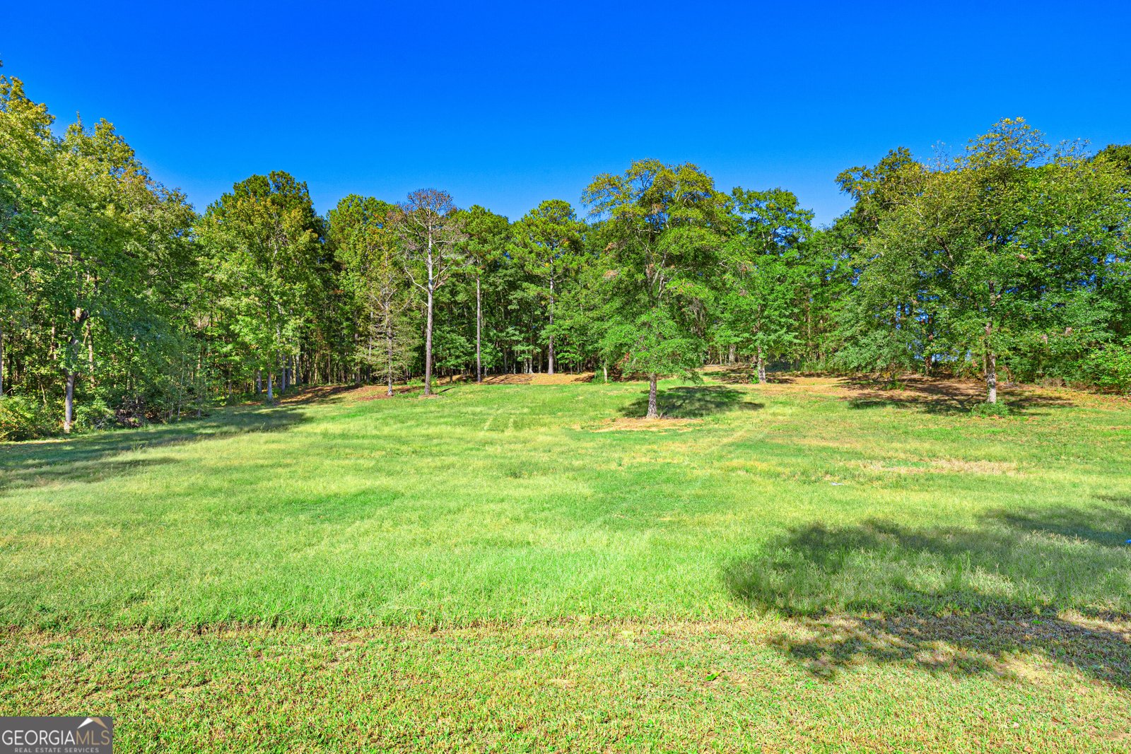 1059 Old Hwy 29 Hartwell - Photo 47