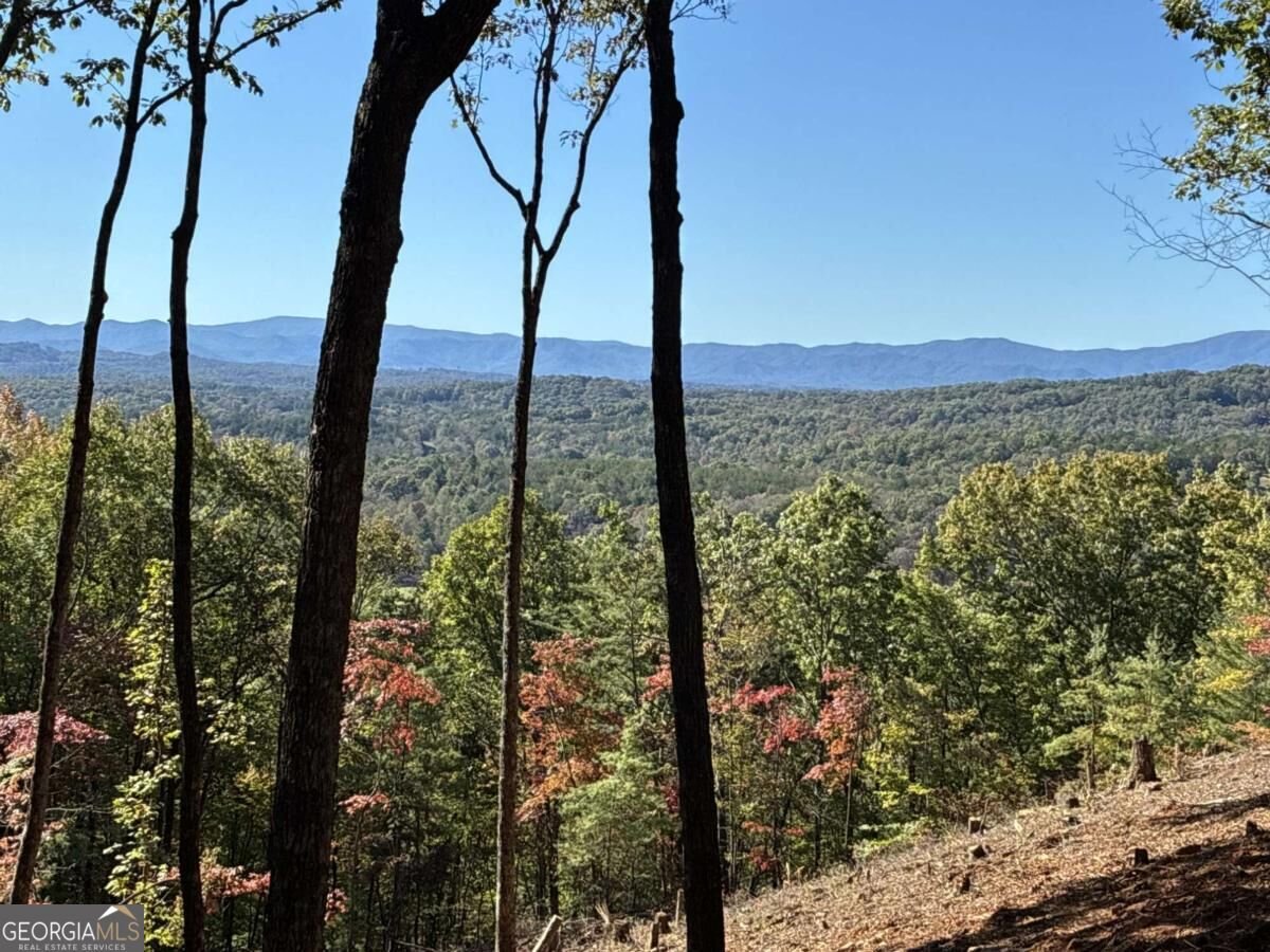 LOT 4 Hickory Hollow Mineral Bluff - Photo 18