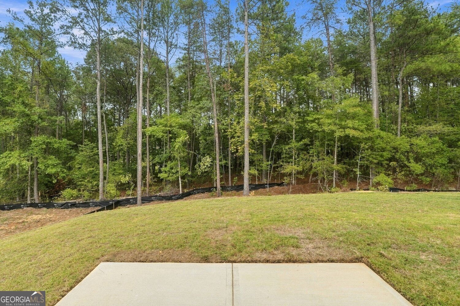 16 Hadrian Ridge Drive Rome - Photo 49