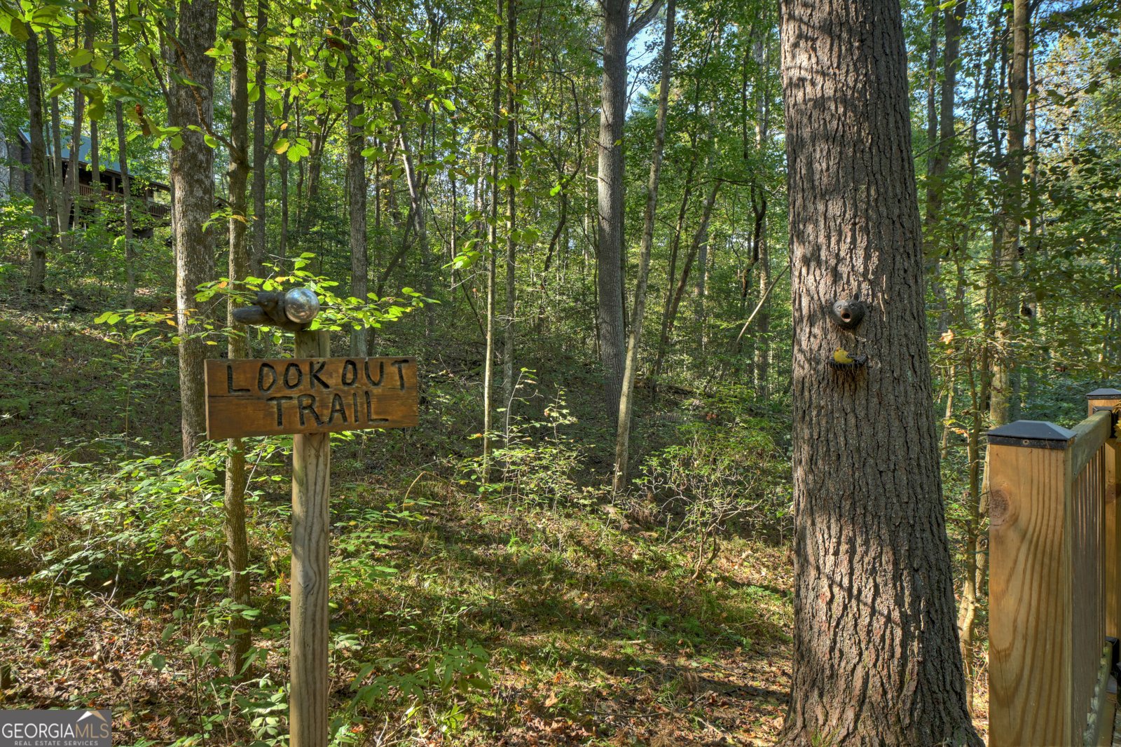 196 Mossy Rock Lane Ellijay - Photo 50