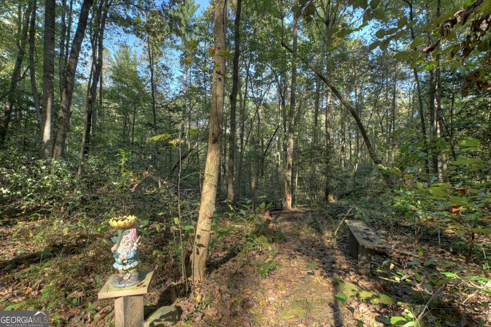 196 Mossy Rock Lane Ellijay - Photo 51